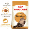 Persian Adult